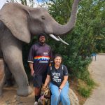 oatchi and elephants